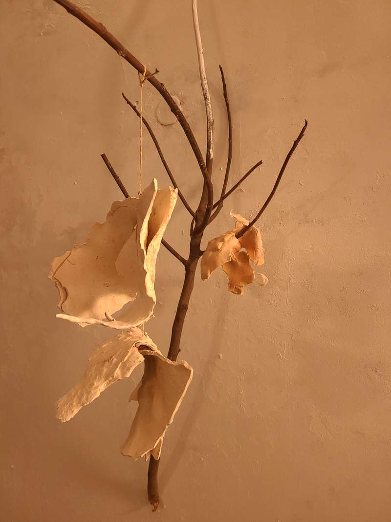 Œuvre tête branche, photo 5
