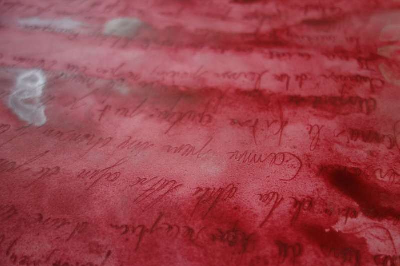 Entre la trace qui persiste et celle qui disparaît, photo 2