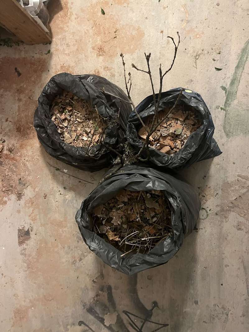 Rien qu'une valse avec le temps, atelier 1